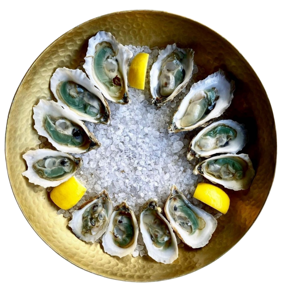 Reids Dozen Os 3